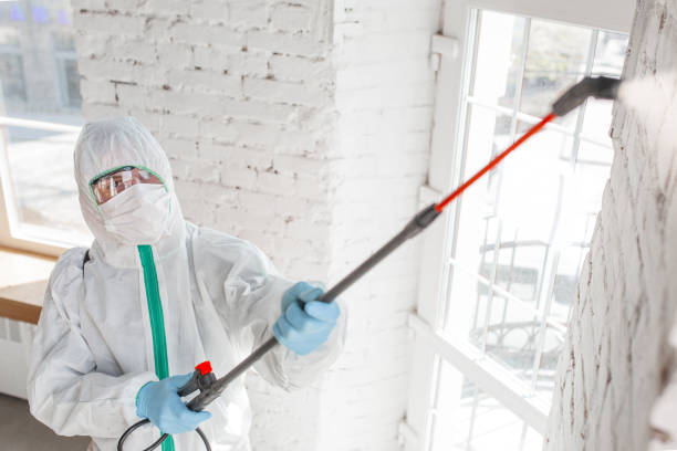 Best Environmental Consulting for Mold Prevention  in Winsted, CT