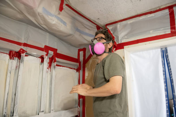 Forensic Mold Investigation in Winsted, CT