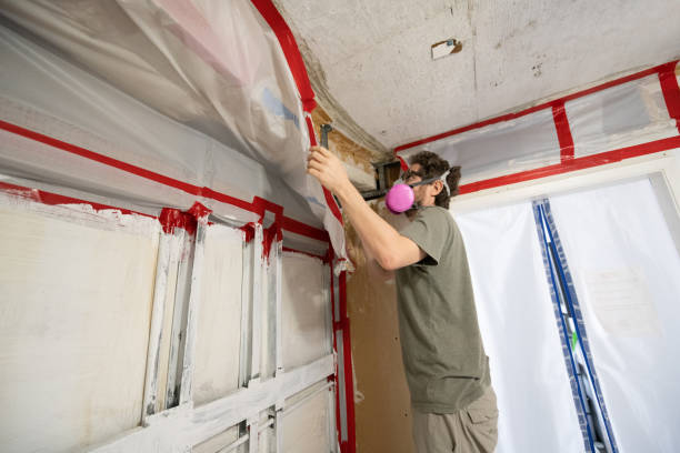 Mold Remediation for Rental Properties in Winsted, CT
