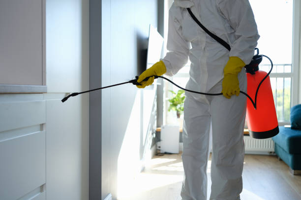 Best Crawl Space Mold Remediation  in Winsted, CT